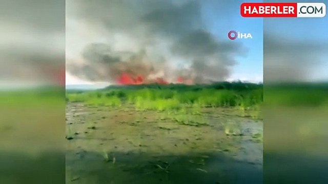 İznik Gölü kıyısındaki sazlıklarda yangın
