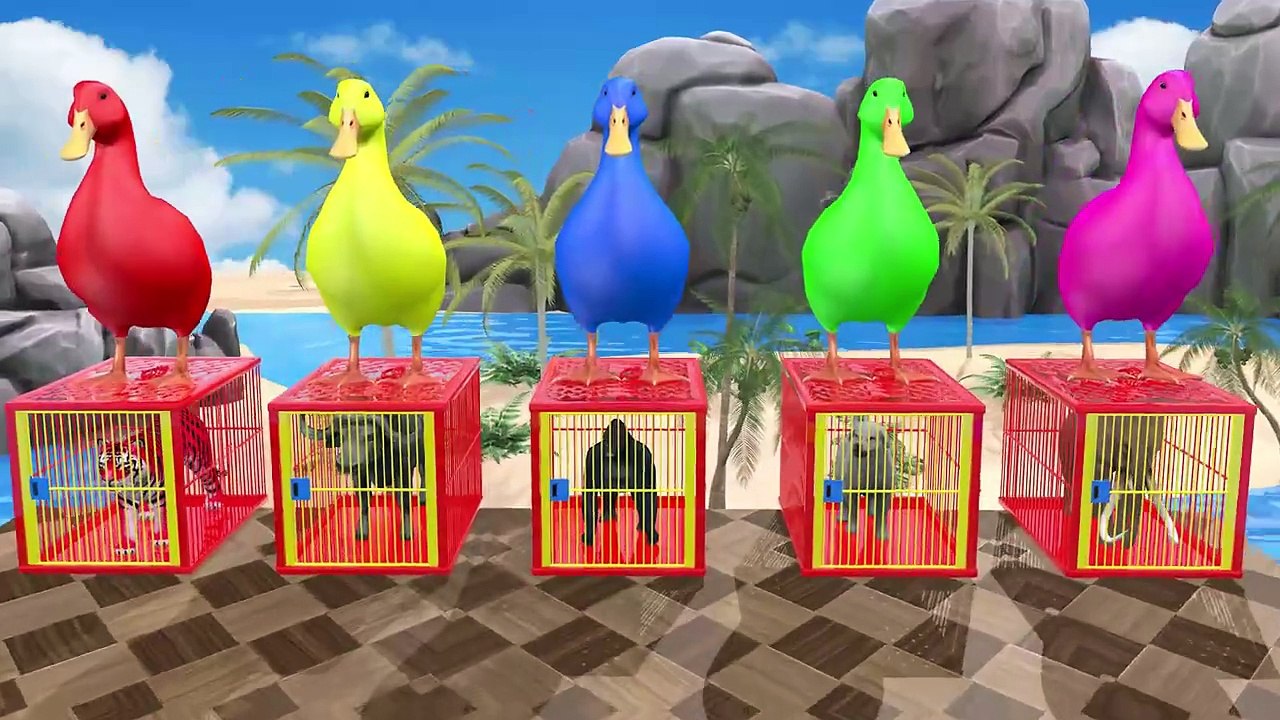 4 Giant Duck Cartoon,Tiger,Cow,rabbit,Gorilla,Hamsters,Dog,Cat Wild Animals Crossing Fountain 2023