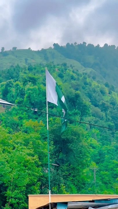 Pakistani flag