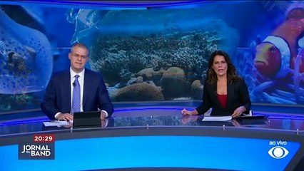 Tubarão é avistado em praia de Nova York, nos Estados Unidos