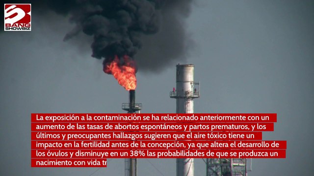 La contaminación atmosférica reduce las posibilidades de tener un hijo nacido vivo por FIV