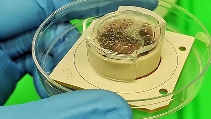 New AI Robot with Human Brain Shocks the World! (They've Crossed the Line)