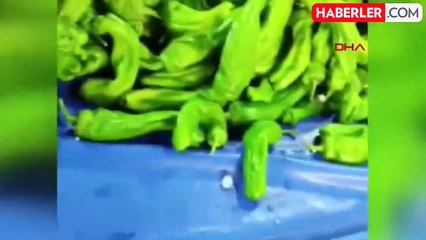 İnegöl'de Sağanak ve Dolu: Pazar Tezgahları Sular Altında Kaldı