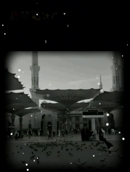 Islamic vedio whatapp status
