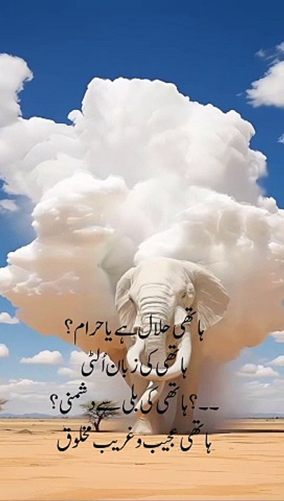 Elephant  history