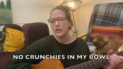 The House Cat Blues Song For Cats Who Are Feeling The Winter Snooze