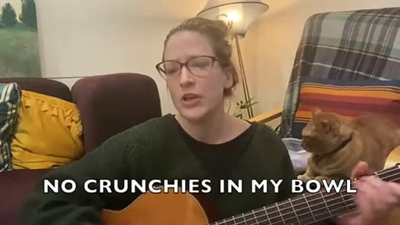 The House Cat Blues Song For Cats Who Are Feeling The Winter Snooze