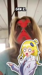 Gen X vs. Gen Z: Who Would Win? ⚔️