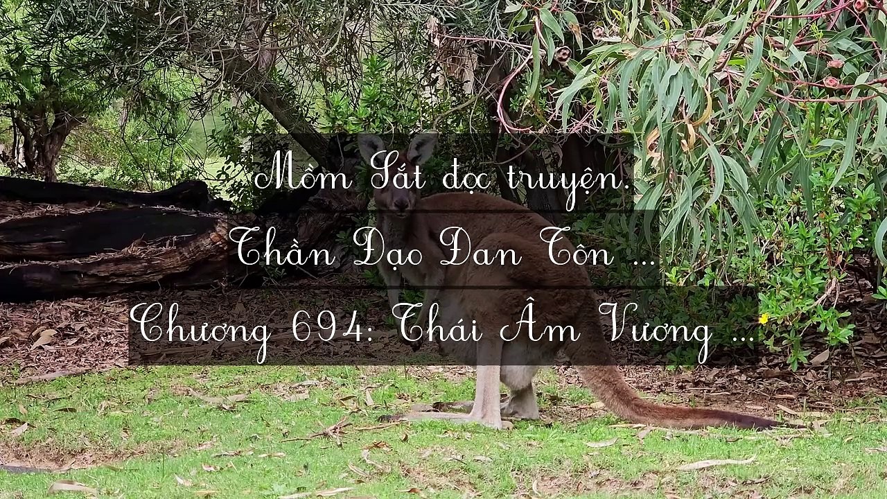 Mới 2024 Chương 691-700: Thần Đạo Đan Tôn