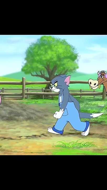 Tom & jarry