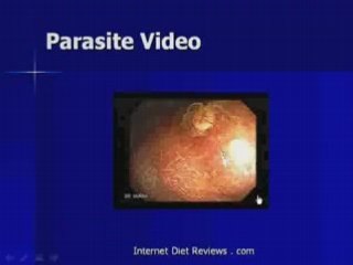 Top Secret Fat Loss Secrets Review