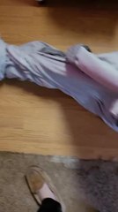 Dogs Play Tug of War With Sheets to Stop Mom From Doing Laundry