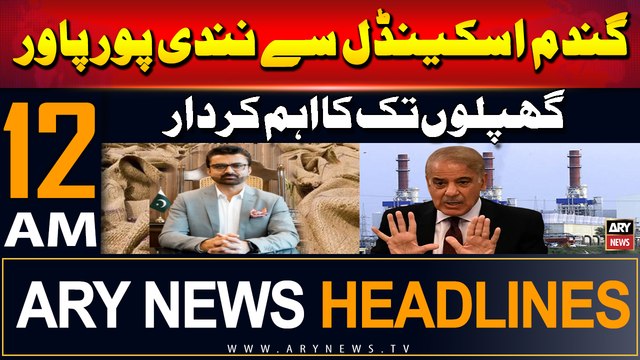 ARY News 12 AM Prime Time Headlines | 24th July 2024 | From Wheat Scam to Nandipur Power Scams