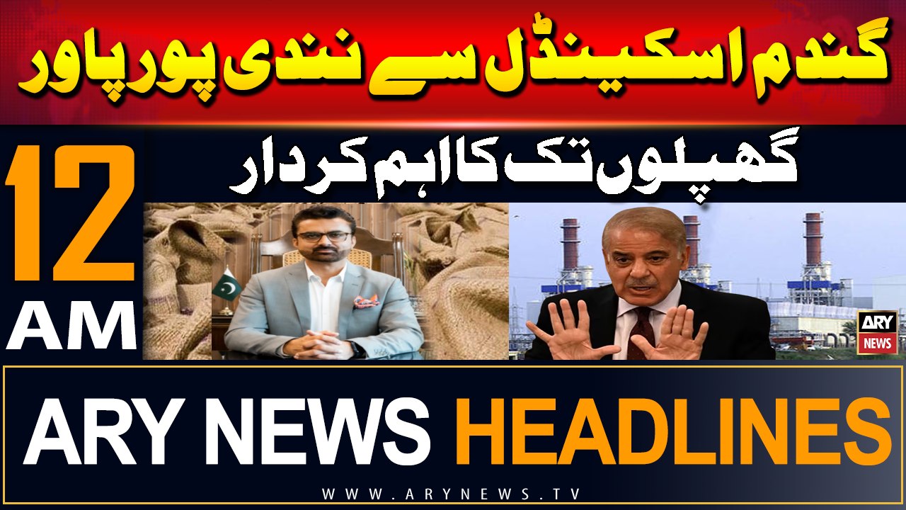 ARY News 12 AM Prime Time Headlines | 24th July 2024 | From Wheat Scam to Nandipur Power Scams