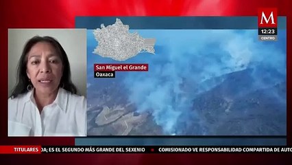 Ángeles Cruz denuncia irrupción de grupo armado en región mixteca oaxaqueña