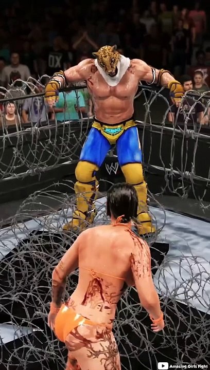 fight part 3 .wwe