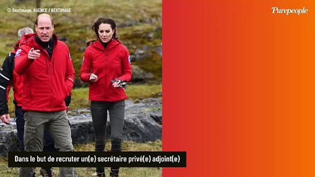 Vous rêvez de travailler pour Kate Middleton et William ? Un poste est à pourvoir, une compétence rare et précise demandée