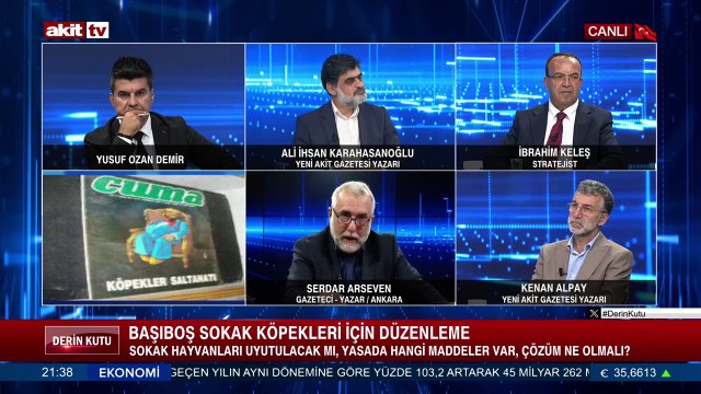 Başıboş sokak köpekleri için düzenleme