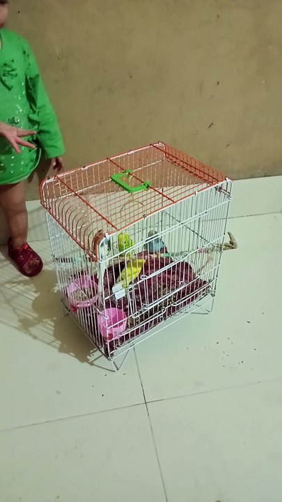 VID_20240331_233053