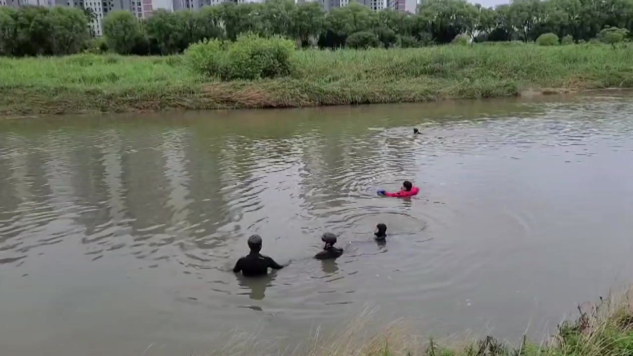충북 청주 무심천에서 70대 실종...수색 중 / YTN