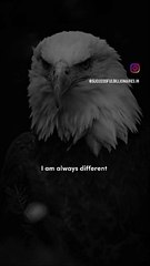 VID_253971231_191541_680