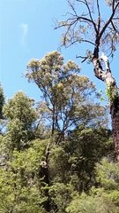 Bal To Don Vil Nineteen