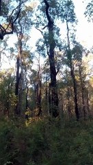 Bal To Don Vil Twenty One