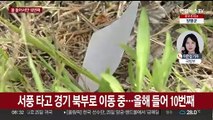 대북확성기 가동에도…북, 사흘 만에 10차 쓰레기풍선