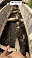 Epic Parkour Challenge: Run, Jump, Conquer the Course!