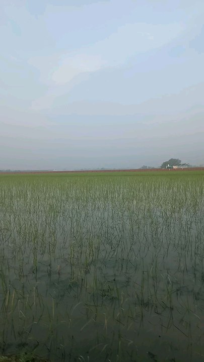 visit village