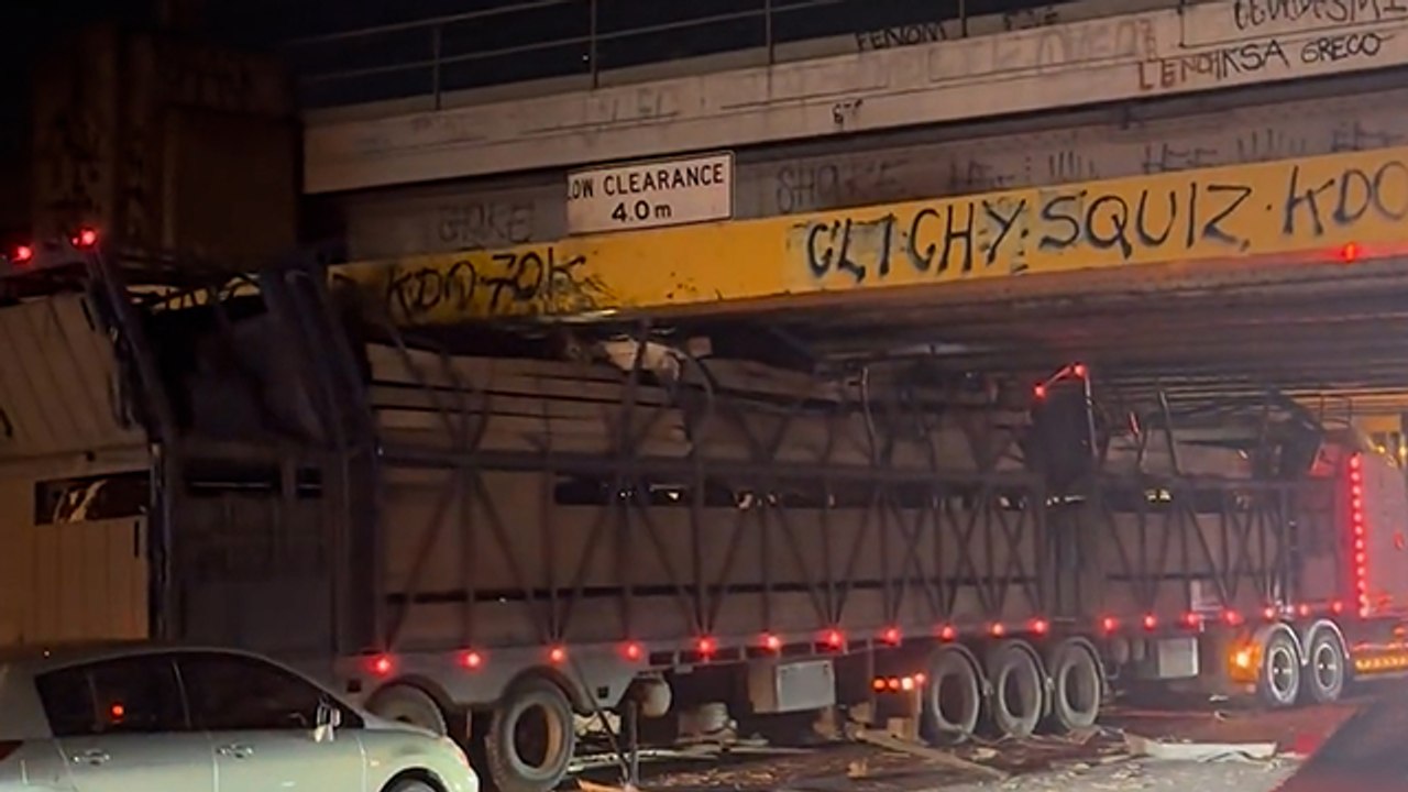 Cattle truck crashes in Melbourne | Stock & Land