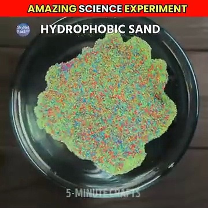 AMAZING SCIENCE EXPERIMENT