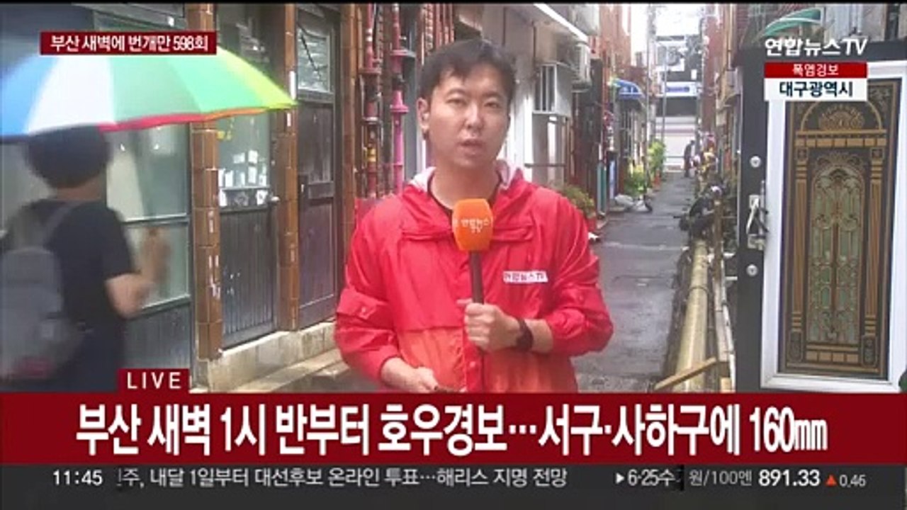 '도깨비 장마' 부산, 160㎜ 폭우에 침수피해 속출…산사태 경보도
