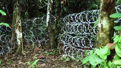 "Deportación" de migrantes en Panamá es "inminente", dice EEUU