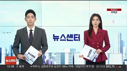 금감원, '주식시세 조종' BNK금융·부산은행에 기관경고 중징계