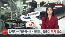 길어지는 캐즘에…K-배터리, 줄줄이 투자 축소