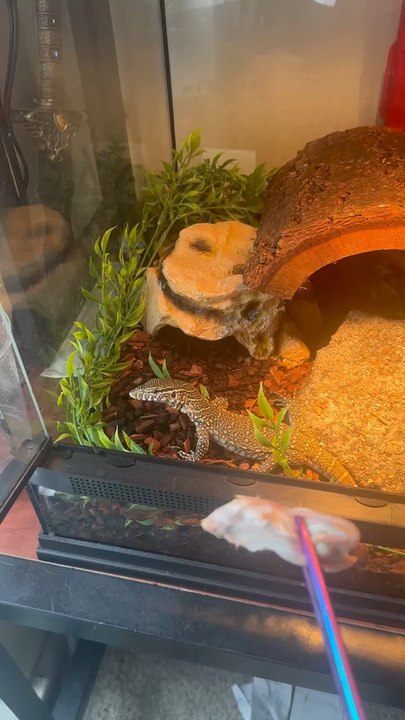 Shes growing so fast !!