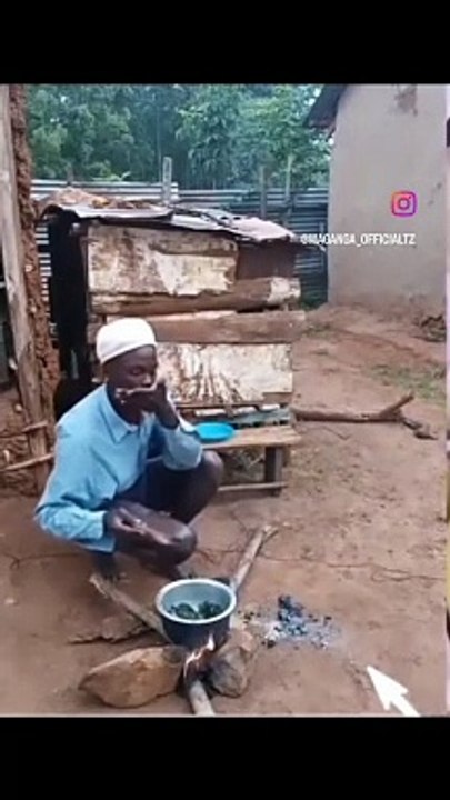 Best funny video clip