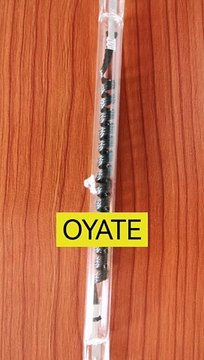 carbon fiber heat lamp 600w 630mm infrared heating lamp clear infrared heating tube 1000w 600w 635mm infrared heating lamp