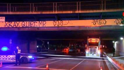 Truck full of cattle crashes in inner-city Melbourne