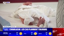 Recrudescence de la coqueluche: la HAS préconise la vaccination pour l'entourage de nourrissons