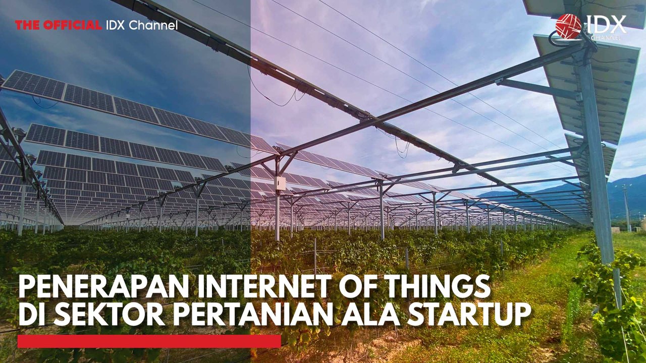 Penerapan Internet of Things di Sektor Pertanian ala Startup