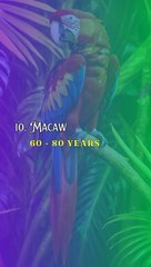 Top 10 Longest Living Animals