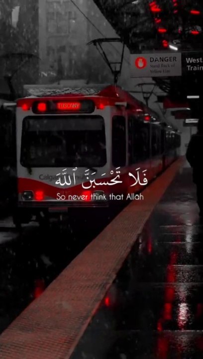 Quran Recitation In Beautifull Voice | Just Relax and listen