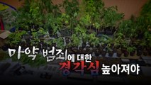 [영상] '직접 재배' 대마 판매 적발...일반인마저 판매상으로? / YTN