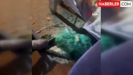 Fileye dolanan bir buçuk metrelik yılanı kurtaran itfaiyeci, yılana su içirdi