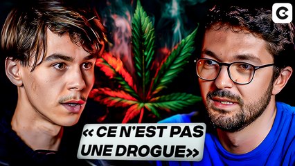 Je suis pour la légalisation du cannabis ? | LE CRAYON