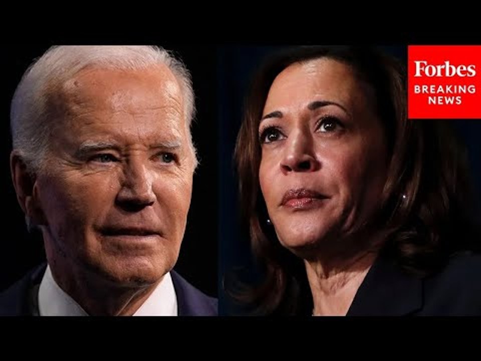 'Biden Jr.': These Are Kamala Harris's Key Weaknesses Among Voters, According To Top Pollster