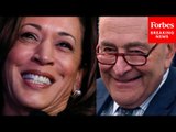 Chuck Schumer Emphatically Endorses VP Harris, Says Dems Are 'Stronger And More United Than Ever'