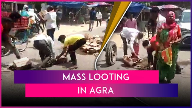 Agra: Residents Loot 30 Crates Of Liquor Spilled From Delivery Truck In Etmadpur, Video Goes Viral